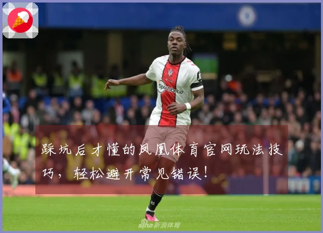踩坑后才懂的凤凰体育官网玩法技巧，轻松避开常见错误！