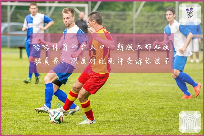 哈哈体育平台入口，新版本那些改动真香？深度对比测评告诉你该不该肝！