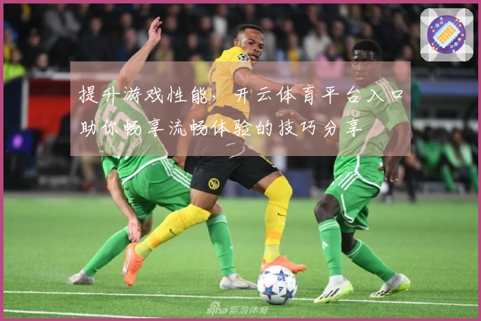 提升游戏性能，开云体育平台入口助你畅享流畅体验的技巧分享