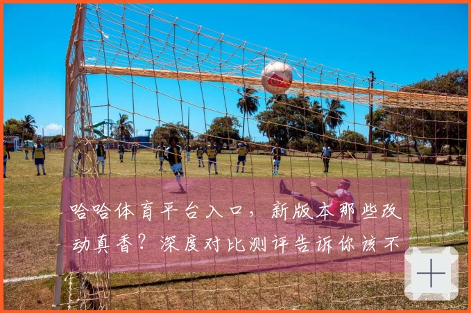 哈哈体育平台入口，新版本那些改动真香？深度对比测评告诉你该不该肝！